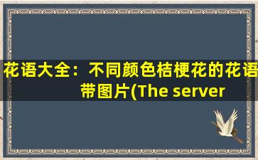 花语大全：不同颜色桔梗花的花语带图片(The server had an error while processing yo* request. Sorry